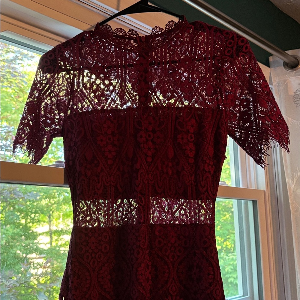 Remarkable Sheer Lace Short Sleeve Mini Dress